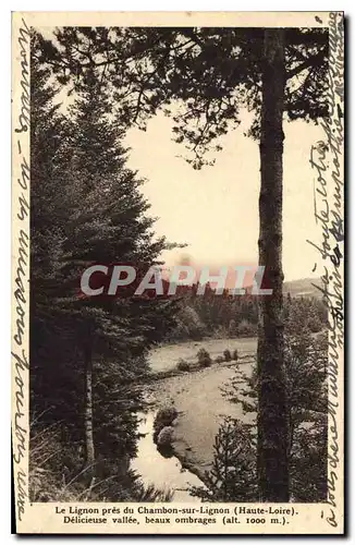 Cartes postales Le Lignon pres du Chambon sur Lignon Haute Loire Delicieuse Vallee Beaux ombrages