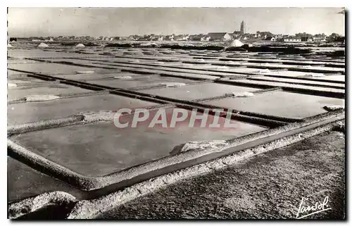 Cartes postales La Cote d'Amour Batz et les Marais Salants