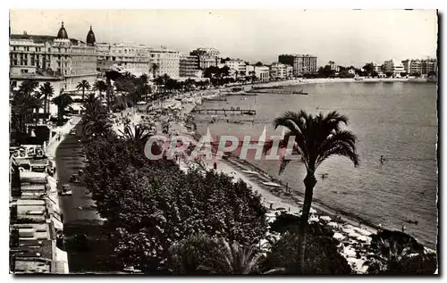 Cartes postales Cannes les Grands hotels la Croisette et la Plage