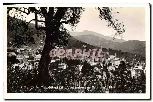 Cartes postales Grasse vue entre les Oliviers