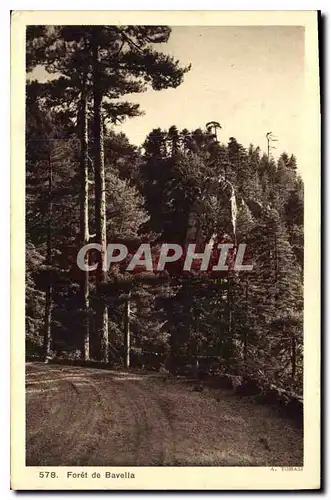 Cartes postales Foret de Bevella