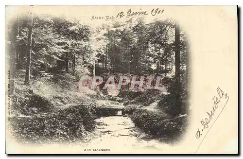 Cartes postales Saint Die Aux Molieres