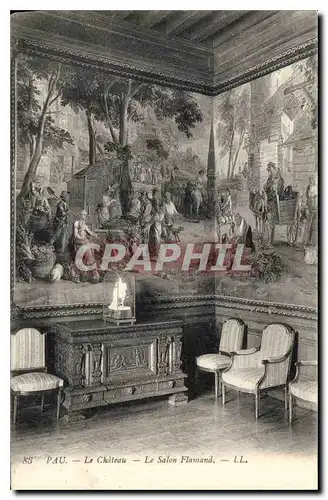 Cartes postales Pau le Chateau le Salon Flamand