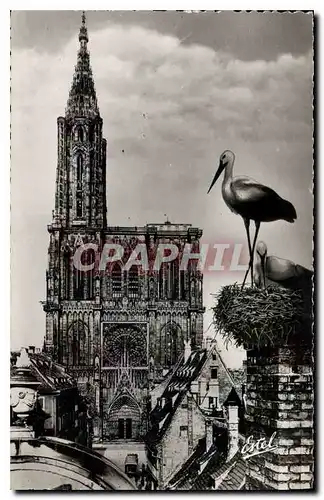 Cartes postales Strasbourg la Cathedrale