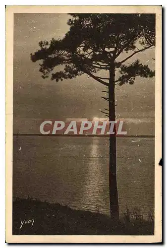 Cartes postales Les Charmes de la Cote d'Argent Mer et foret