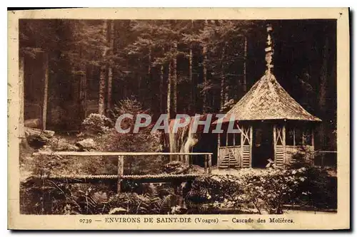 Ansichtskarte AK Environs de Saint Die Vosges Cascade des Molieres