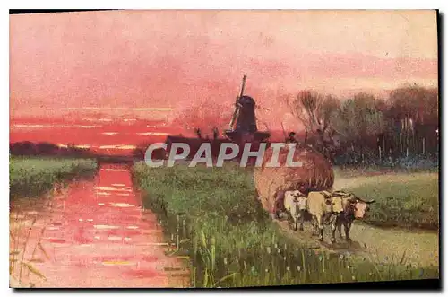 Cartes postales Moulin  a vent B�ufs Attelage