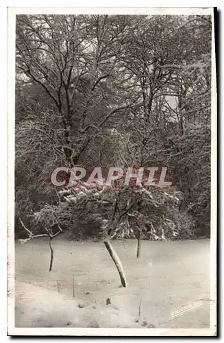 Cartes postales St Jeoire Hte Savoie Les Cyclamens Home d'Enfants Un coin du parc l'hiver