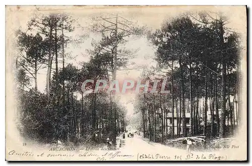 Cartes postales Arcachon l'Allee