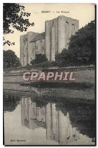 Cartes postales Niort Le Donjon