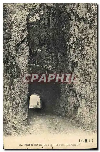 Ansichtskarte AK Foret de Lente Diome Le Tunnel de Pionnier