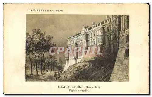 Cartes postales La Vallee de la Loire Chateau de Blois Loir et Cher Facade Francois I