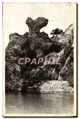 Ansichtskarte AK Mende Gorges du Tarn la Roche du Champignon