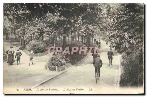 Ansichtskarte AK Paris Le Bois de Boulogne l'Allee des Erables