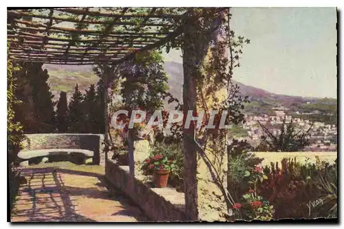 Ansichtskarte AK La Douce France Cote d'Azur Nice Alpes Maritimes Pergola de l'abbaye de Cimiez