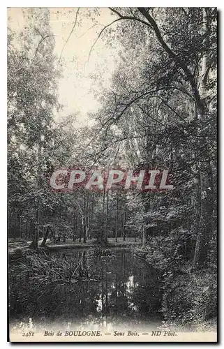 Cartes postales Bois de Boulogne sous Bois