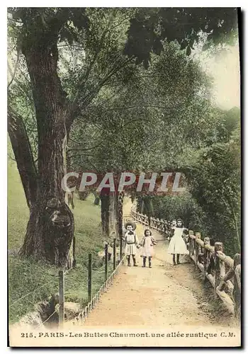 Ansichtskarte AK Paris Les Buttes Chaumont une allee rustique