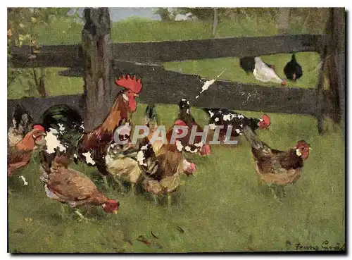 Cartes postales Poules