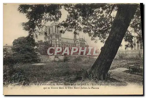 Ansichtskarte AK Paris Vue d'ensemble de Notre Dame prise au pied de l'Acacia plusieurs fois centenaire qui se tr