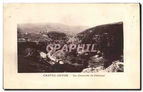 Cartes postales Chatel Guyon Vue d'ensemble du Chalusset