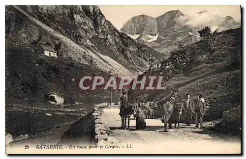 Cartes postales Gavarnie En route pour le Cirque Ane Mule