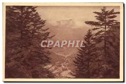 Cartes postales Cauterets Vallee de la Raillere