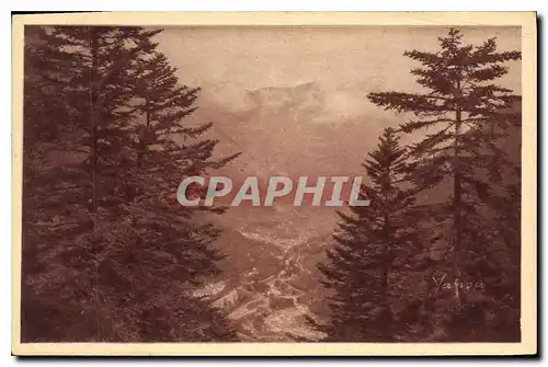 Cartes postales Cauterets Vallee de la Raillere