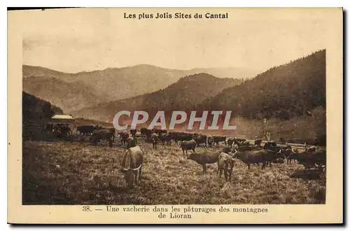 Cartes postales Les plus Jolis Sites du Cantal Une Vacherie dans les paturages des montagnes de Lioran