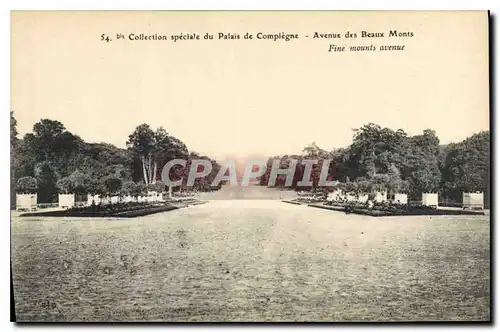 Ansichtskarte AK Collection speciale du Palais de Compiegne Avenue des Beaux Monts