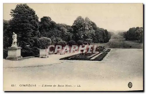 Cartes postales Compiegne L'Avenue des Beaux Monts