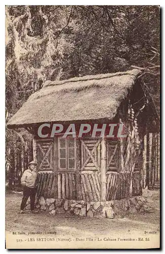 Cartes postales Les Settons Nieve Dans l'Ile La Cabane forestiere