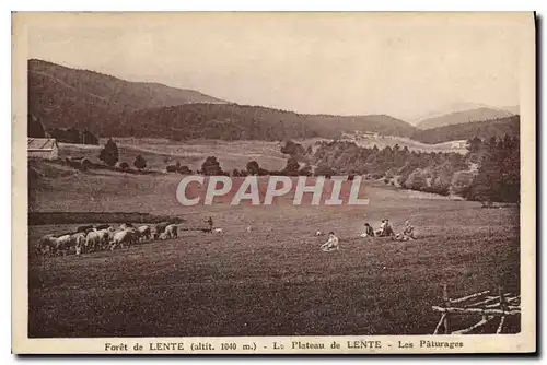 Ansichtskarte AK Foret de Lente le Plateau de Lente les Paturages