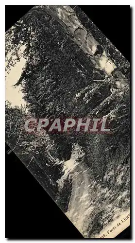 Cartes postales Foret de Lente