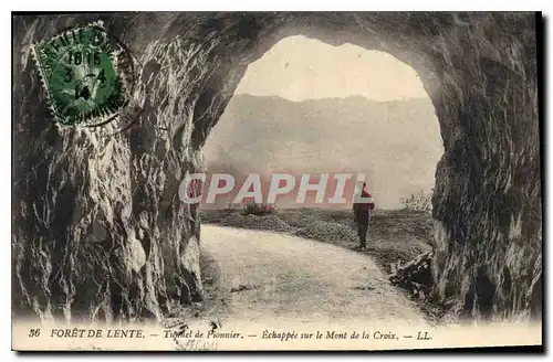 Cartes postales Foret de Lente Tunnel de Pionnier echappee sur le Mont de la Croix