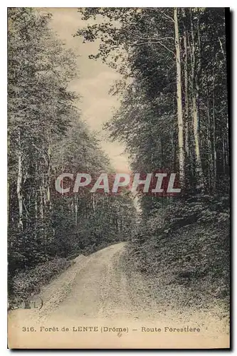 Cartes postales Foret de Lente Drome Route Forestiere