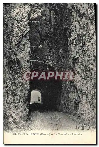 Cartes postales Foret de Lente Drome le Tunnel de Pionnier