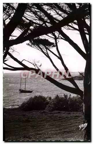 Ansichtskarte AK Port Navalo Morbihan Pointe de Bilgroix