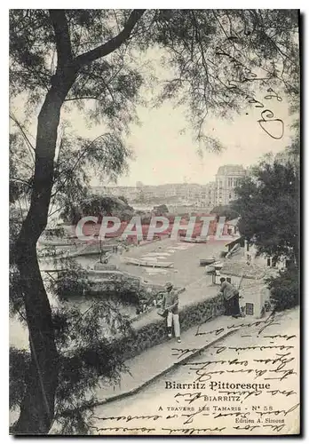 Ansichtskarte AK Biarritz Pittoresque Biarritz A travers les Tamaris