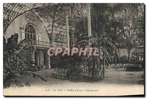 Cartes postales Pau Palais d'Hiver Palmarium