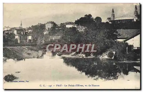 Cartes postales Pau Le Palais d'Hiver vu de Bizanos