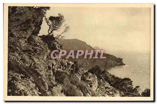 Ansichtskarte AK La Douce France Cote d'Azur Les Iles d'Hyeres Var Porquerolles Vue sur la Pointe de l'Oustaou de