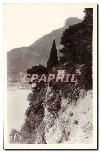 Cartes postales Cote d'Azur Monaco La Tete de Chien et les Jardins