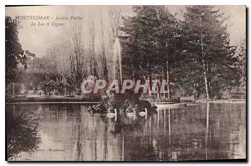 Cartes postales Montelimar Jardin Public Le Lac et Cygnes