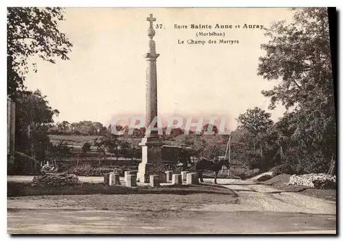 Cartes postales Entre Sainte Anne d'Auray Morbihan Le Champ des Martyrs