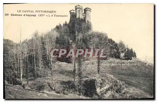 Cartes postales Le Cantal Pittooresque Chateau d'Anjony Tournemirc