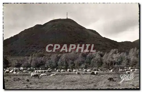 Cartes postales l'Auvergne Paturages au pied du Puy de Dome Cone volcanique