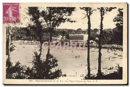 Cartes postales Perros Guirec C du N La Plage a travers les Pins