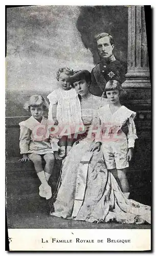 Cartes postales La Famille Royale de Belgique