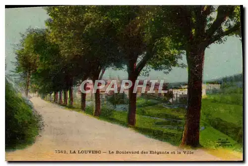 Cartes postales La Louvesc Le Boulevard des Elegants et la Ville