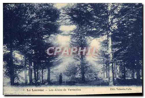 Cartes postales La Louvesc Les Alles de Versailles